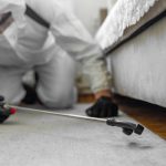 رقم شركة مكافحة حشرات